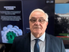 DIREKTNO IZ NEW YORKA: Ivica Puljić potvrdio da je sve spremno za veliki događaj