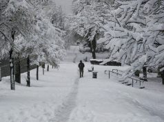 PRAVA ZIMA NA POMOLU? Sladić otkriva šta donosi februar